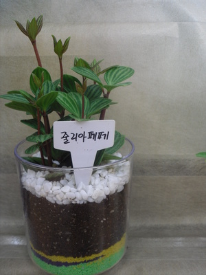 도봉데이케어센터