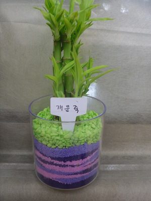 강북노인복지관